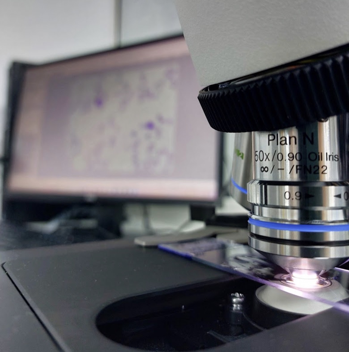 Microscopie et plateau technique